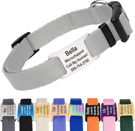 GoTags Personalized Dog Collar with Nameplate, Adjustable Dog Collar with Custom Engraved Slide On Pet ID Tag in Stainless Steel, Silent, No Noise Dog Tag (Light Gray, Small)