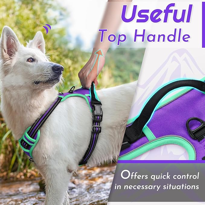 Eagloo Dog Harness for Large Dogs, No Pull Service Vest with Reflective Strips and Control Handle, Adjustable and Comfortable for Walking, No Choke Pet Harness with 2 Metal Rings, Purple & Green, XL