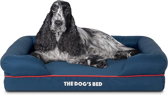 The Dog’s Bed, Medium Blue/Red 30x23.5, Memory Foam, Pain Relief: Arthritis, Hip & Elbow Dysplasia, Post Surgery, Lameness, Supportive, Calming, Waterproof Washable Cover, Veterinary Approved