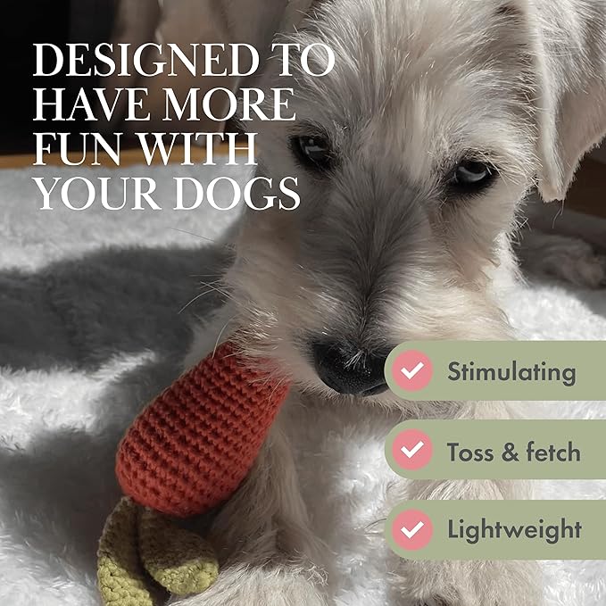 Nina Woof Organic Cotton Squeaky Dog Toys Fruits & Veggies Dog Toy Pack - Handmade Knit Dog Accessories, for Small Medium Dogs, Puppy Essentials and Puppy Toys Perfect Dog Gift