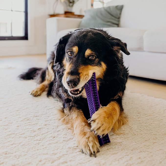 Playology Dog Toys | Dental Chew Stick Gentle on Gums | Medium Pork Sausage Scented Toy - Easy to Clean and Made from Non Toxic Materials