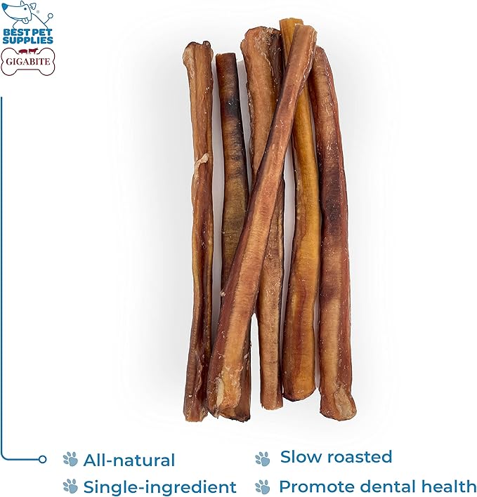 GigaBite Single Ingredient All Natural Free Range Bully Treats and Chews - Bully Sticks/Bladder Sticks/Beef Esophagus by Best Pet Supplies - Bully Sticks (Premium 12"), Pack of 6