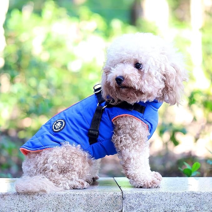 Norbi Dog Coat - Winter Jacket with Built-in Harness, Adjustable for Small to Large Dogs, Warm Coats for Cold Weather