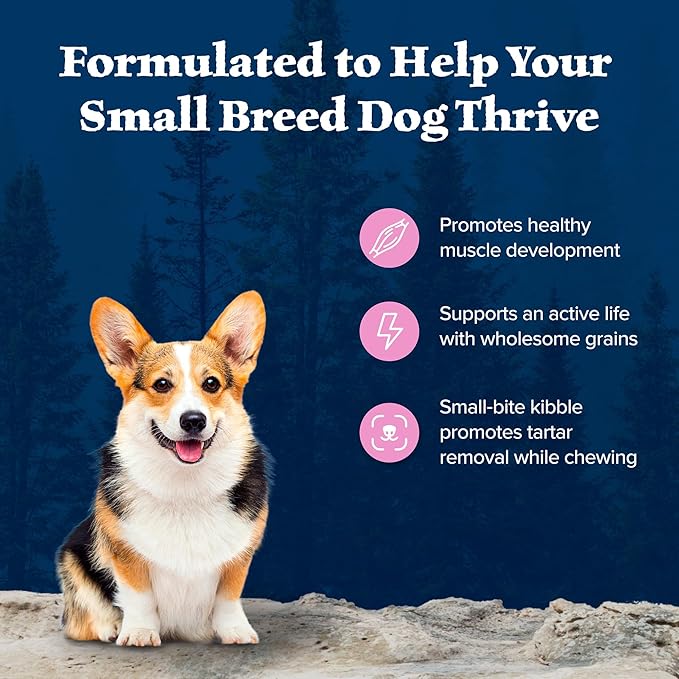 Blue Buffalo Wilderness Natural High-Protein Dry Food for Small Breed Adult Dogs, Chicken Recipe, 13-lb Bag