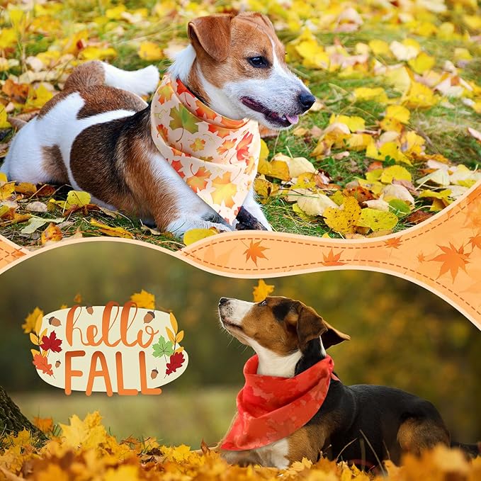 Chunful 60 Pcs Thanksgiving Fall Bandanas for Dogs Autumn Maple Leaf Pumpkin Patterns Soft Bibs Adjustable Triangle Doggie Scarf for Small Medium Large Pet Costume(25.6 x 17.7 x 17.7 Inch)