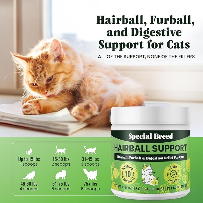 Hairball Support for Cats - 10 Super Ingredients for Hairball Relief, Digestive Support & Healthy Skin - No Fillers - Psyllium, Pumpkin, Omega-3s & More - 240 Scoops