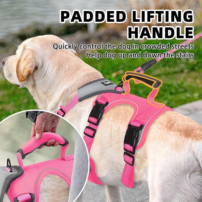 PUPTECK Escape Proof Dog Harness and Leash Set Upgraded No Pull Reflective Dog Vest with Lift Handle, Easy Control Pet Harness for Medium Large Dogs Training Walking Running, Fuchsia, XL