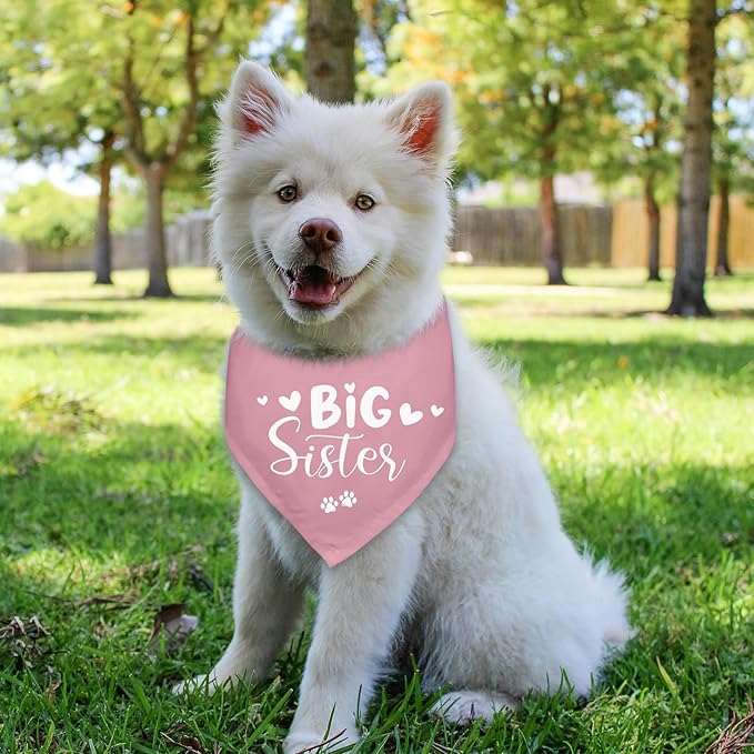 Big Sister Dog Bandanas Baby Announcement Pink Dogs Bandana for Small Medium Dogs Bandana Pregnancy Announcement Photo Prop Pet Scarf Accessories for Pet Dog Lovers Gifts
