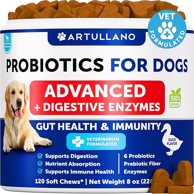 Probiotics for Dogs - Support Gut Health, Itchy Skin, Allergies, Immunity, Yeast Balance - Dog Probiotics and Digestive Enzymes with Prebiotics - Reduce Diarrhea, Gas - 120 Probiotic Chews for Dogs