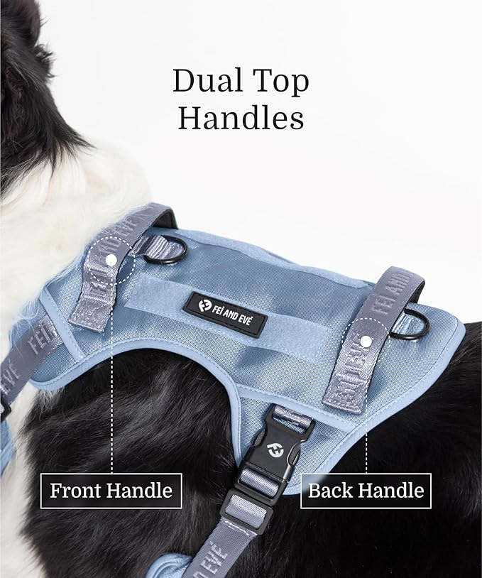 2025 New Edition, Fei & Eve Classic Dog Harness - Quick-Release Buckles | 3-Point No-Pull Control | Heavy-Duty 900D Nylon | Dual Safety Handles | Breathable Mesh | Adjustable Fit | Small,Blue