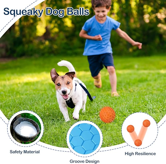 2 Pack Indestructible Squeaky Dog Balls, Cleans Teeth, Relieves Anxiety, Interactive Dog Toy for Aggressive Chewers, Rubber Ball Breeds, Outdoor Waterproof