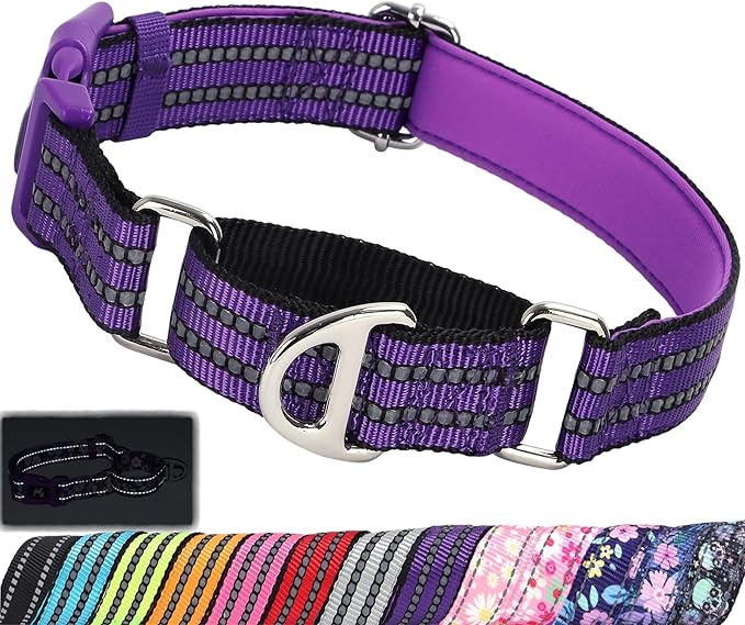 Martingale Collar for Dogs - Reflective Nylon with Padded Comfort & Quick Release Buckle - No Slip Choke Heavy Duty Collar for Safe Training, Walking & Nighttime Use Purple S
