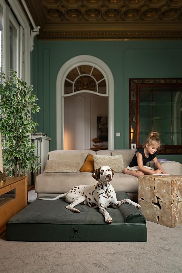 NOAH & PAW XL Dog Bed, 45x35x9.1 Inch, Orthopedic Large Dog Beds, Eggshell Memory Foam Infused with Cooling Gel, Waterproof, Machine Washable, Includes Inner Cover (Faux Leather)