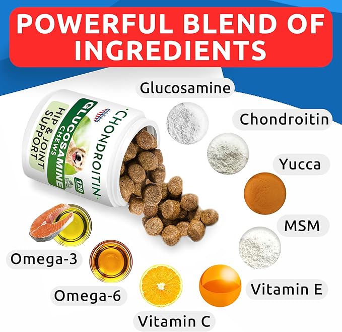 Glucosamine Chondroitin Dog Hip & Joint Supplement - Joint Pain Relief - Hip & Joint Chews for Dogs - Joint Support Large Breed - Senior Doggie Vitamin Pills Joint Health - (240 Treats - Peanut Butte)