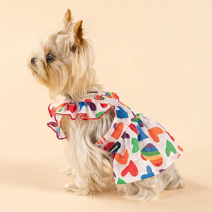 Fitwarm Colorful Heart Dog Dress, Summer Clothes for Small Dogs Girl, Cute Pet Rainbow Outfit, Red, Yellow, Blue, Green, White, Large