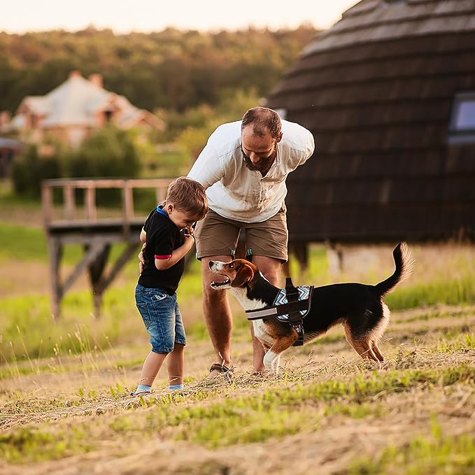 Dogline Dog Harness, Reflective No-Pull Adjustable Vest with Handle for Walking, Training, Breathable, No - Choke Harness for Small, Medium or Large Dogs Room for Patches Aztec Design 2 XS 15"-18"