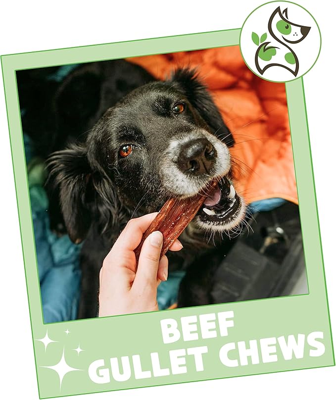 Nature Gnaws Beef Gullet Chews for Small Dogs 4-5" (20 Count) - Natural Beef Jerky Stick Dog Chew Treats - Rawhide Free
