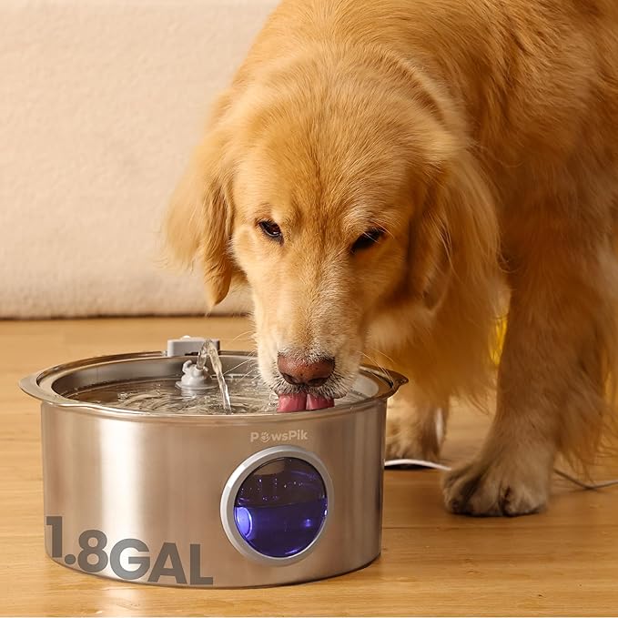 PawsPik Ultra-Quiet Stainless Steel Dog Water Fountain, 1.8-gal