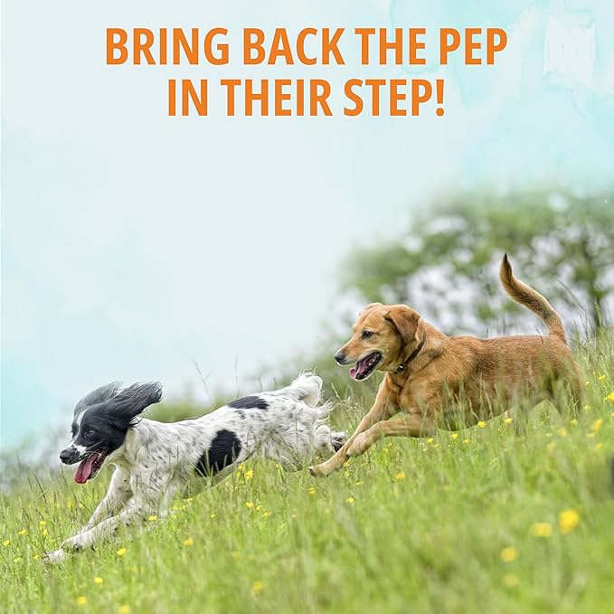 NOVEHA Dog Glucosamine Chews | Hip and Joint MSM Formula for Dogs Joint Care | Senior Pet Joint Health Supplement | Premium Glucosamine and Chondroitin for All | 2PK - 90 Soft Chews; Chicken Flavor