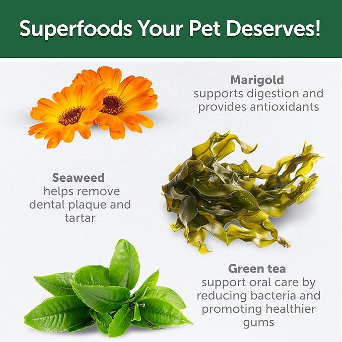 Nature's Protection Training Puppy Treats - Healthy, Grain Free Dog Treats for Small, Medium & Large Breed Dogs with Light Fur (Superior Care - Salmon, 5.29 oz)