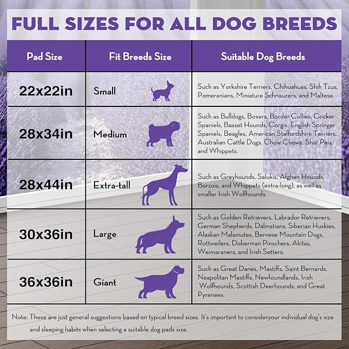 CROCI Puppy Pads 22x22in Small with Adhesive Tabs, Dog Pee Pads Absorbs Up to 3 Cups Potty Training, Disposable (100 Counts)