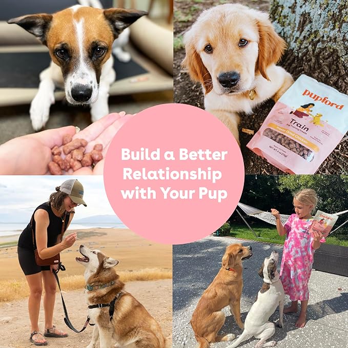 Pupford Freeze Dried Training Treats for Dogs & Puppies, 225+ Two Ingredient Bites (Chicken, 2 oz)