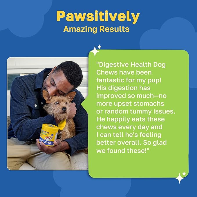 Happy Paws Digestive Supplement for Dogs, Gut Health & Immune Support for All Breeds & Ages, Made with Probiotics, Enzyme Blend & Ginger Root, Pumpkin Flavor, Organic, Non GMO, 200 Soft Chews