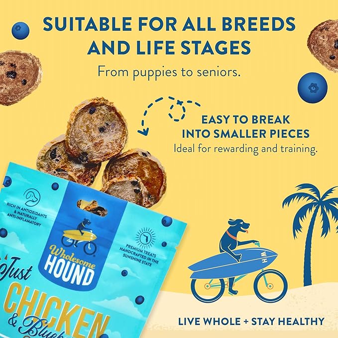 Just Chicken & Blueberry Chips | Two Premium Ingredient & Healthy Dog Treats Rich in Antioxidants | All Natural Canine Rewards | All Breed Sizes Dog Training Treats | Made in USA - 7oz