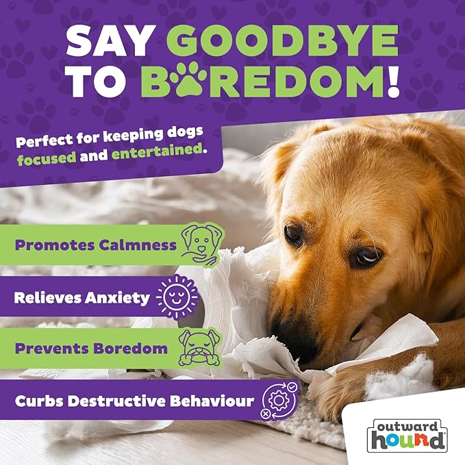 Outward Hound by Nina Ottosson Dog Casino Treat Puzzle Enrichment Toy, Level 3 Advanced, Turquoise