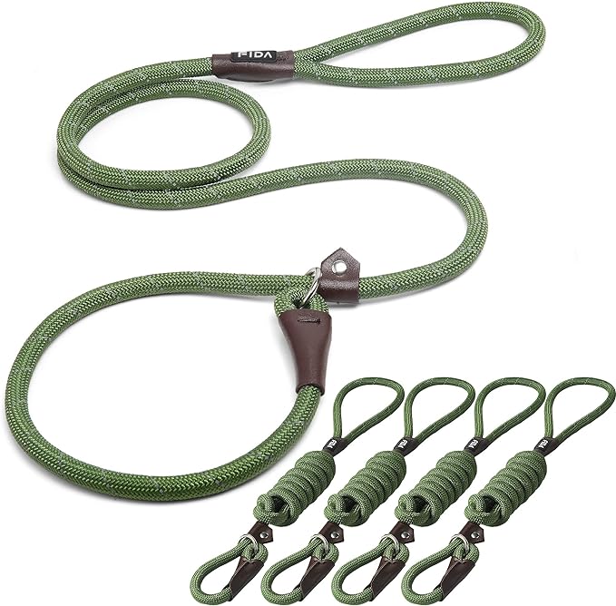 Fida Durable Slip Lead Bulk Pack of 5, Heavy Duty 1/2" x 6 FT Comfortable Strong Rope Slip Leash for Large, Medium & Small Dogs - No Pulling Pet Training Leash with Highly Reflective (Green)