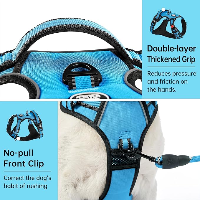 IVY&LANE No Pull Dog Harness for Small Dogs, Dog Vest Harness with Leash, Safety Belt and Storage Strap, Fully Adjustable Harness, 360° Reflective Strip, Soft Handle (Blue, XS)