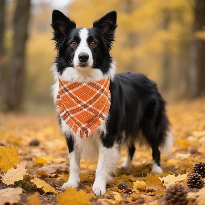 ADOGGYGO Fall Dog Bandanas with Tassels Edges, Stylish Plaid Thanksgiving Halloween Scarf Bib, Orange Plaid Fall Bandanas for Medium Large Dogs (Large)