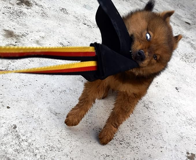 Dewonch Leather Bite Rag for Dog Training, K9 Puppy Toy to Build Prey Drive,Train Bite Grip,Play Tug of War Game with Handle