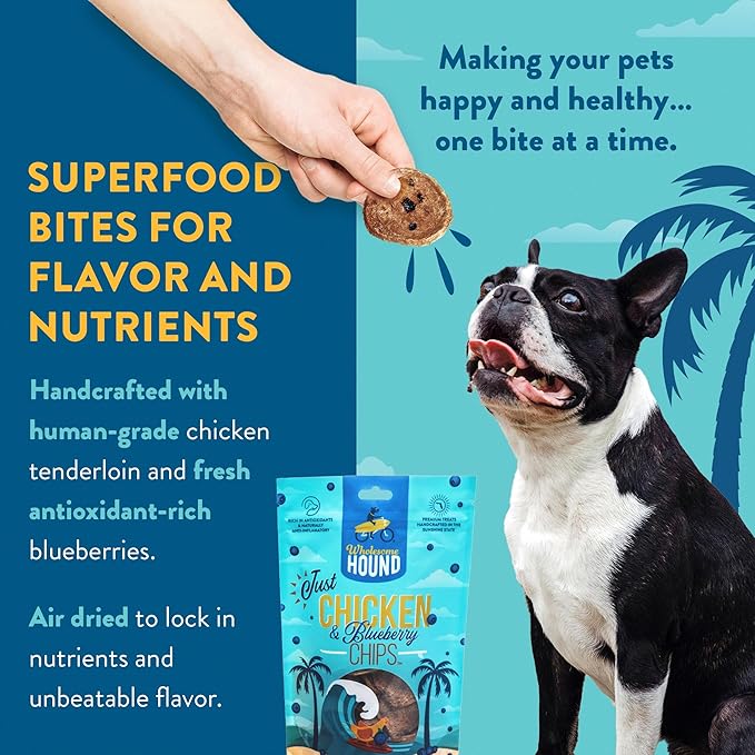 Just Chicken & Blueberry Chips | Two Premium Ingredient & Healthy Dog Treats Rich in Antioxidants | All Natural Canine Rewards | All Breed Sizes Dog Training Treats | Made in USA - 7oz