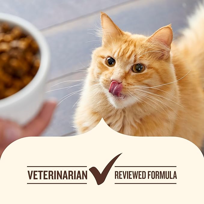 Nutrish Everyday Digestion Dry Cat Food, Chicken Brown Rice and Salmon Recipe with Peas and Carrots, 3 lb. Bag, 4 Count, (Rachael Ray)