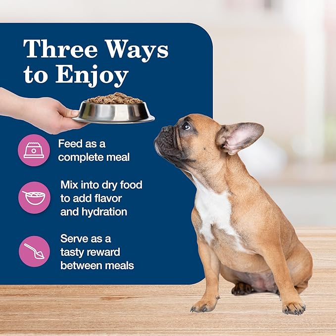 Blue Buffalo Homestyle Recipe Adult Small Breed Wet Dog Food, Made with Natural Ingredients, Chicken Recipe, 5.5-oz Cans (24 Count)