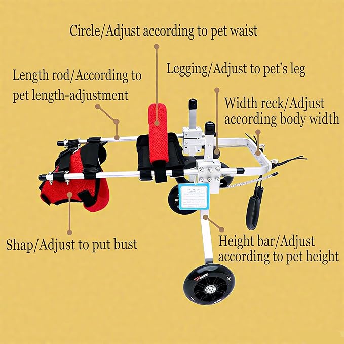 Cat Wheelchair Adjustable 2 Wheels Pet Wheelchair Lightweight Cat Support Wheels for Rehabilitation Aid for The Back Legs of Aging, Arthritic, Injured, Disabled, Weak Cats/Pets (M)