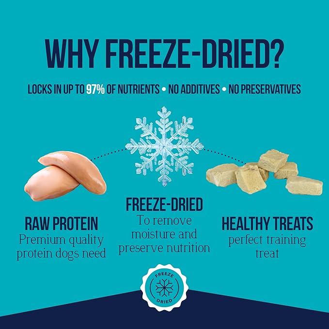 Stewart Single Ingredient Freeze Dried Raw Dog Treats, Chicken Breast, 3 Ounce, Approx. 55 Pieces per Resealable Tub, Training Treats or Meal Topper, High Protein, Grain Free, Gluten Free