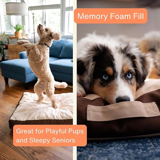 Rawry Orthopedic Dog Bed | Memory Foam Dog Bed with Handle | Water-Resistant, Machine Washable Cover | Floor Cushion for Cats, Dogs & People - Tan/Brown (Small - 24" x 18")