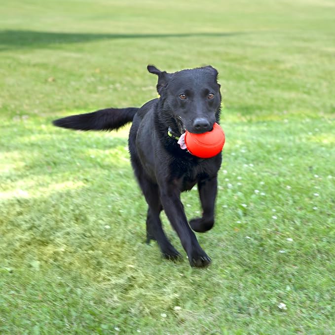 Chew King Flavored Rubber Ball Collection, 4 Inch Beef Flavor Rubber Fetch Balls 2-Pk