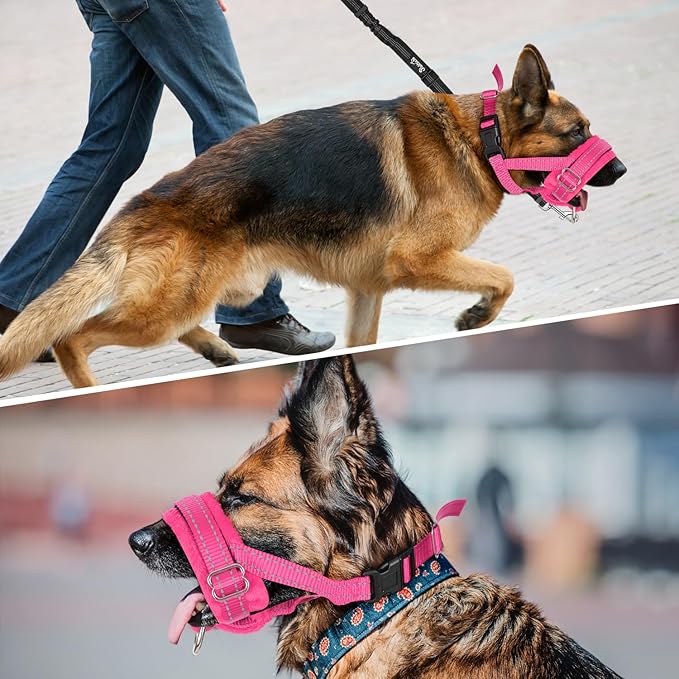 SlowTon Soft Dog Muzzle, Adjustable Padded Nylon Muzzle for Large Medium Dogs Anti Chewing Barking Biting, Allow Dog Pant & Drink (Fuchsia, L)