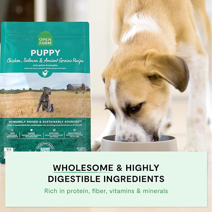 Open Farm, Ancient Grains Dry Dog Food for Puppies, Protein-Rich & Nutrient Dense, 90% Animal Protein Mixed with Non-GMO Fruits, Veggies and Superfoods, Chicken & Salmon Recipe for Puppy, 22lb Bag