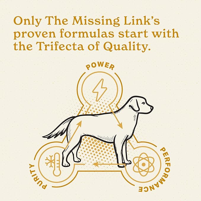 The Missing Link Skin & Coat + Probiotics Supplement 1lb Bag 2/Pack - Powerful Superfood Powder for Dogs Supports Healthy Skin & Glossy Coat, Promotes Hair Growth