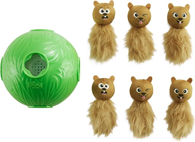 Outward Hound by Nina Ottosson Dog Snuffle N' Treat Ball Puzzle, Level 2 Intermediate, Green, Large