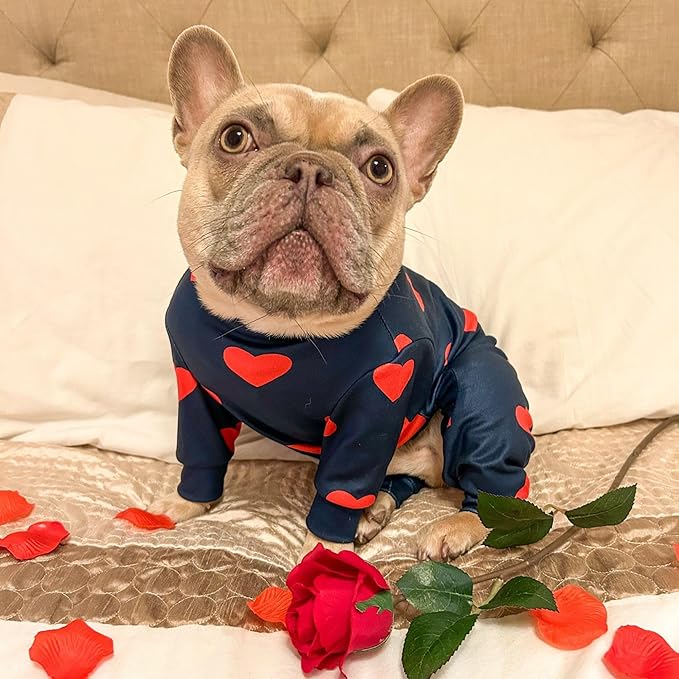 Spark Paws Dog Pajama, Dog Recovery Suit Male, Onesie, Ultra-Soft and 4-Way Stretch, for Small Medium and Large Breeds - Hearts - 4XL