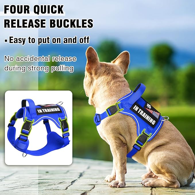 WINSEE Service Dog in Training Harness with 5 PCS Patches, Reflective Tactical Dog Vest Harness, Adjustable Soft Oxford Pet Harness with Easy Control Handle, Hook & Loop Panels for Walking Hiking