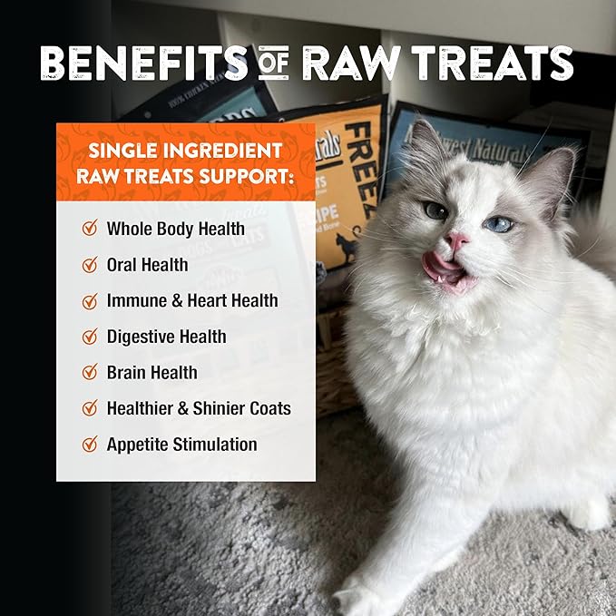 Northwest Naturals Raw Rewards Freeze-Dried Salmon Treats for Dogs and Cats - Bite-Sized Pieces - Healthy, 1 Ingredient, Human Grade Pet Food, All Natural, Proudly Made in USA, 2.5 Oz