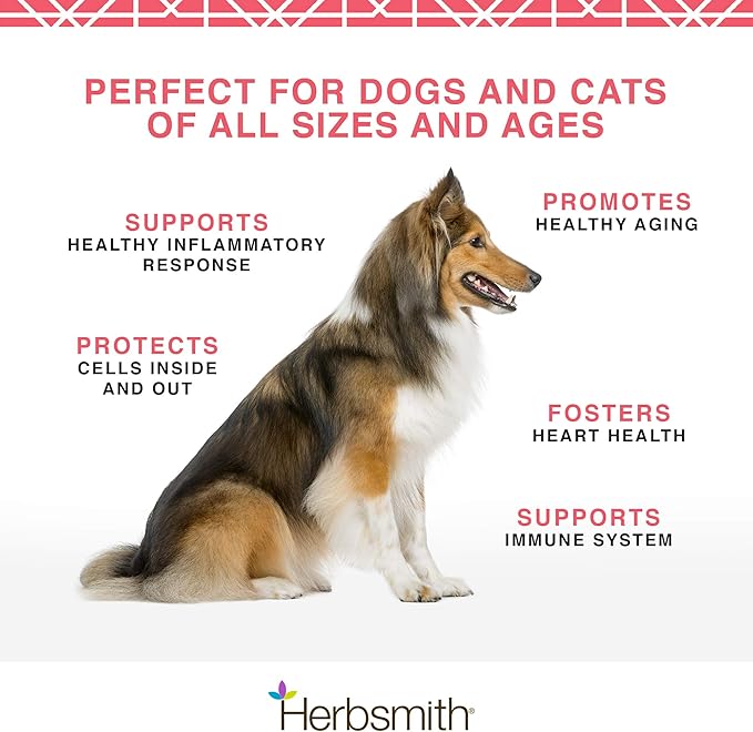 Herbsmith Pure Krill - Wild-Caught Antarctic Krill - Just 1 Ingredient - Astaxanthin for Dogs - Ready-to-Use Omega 3s – Alternative to Krill Oil for Dogs - 150g