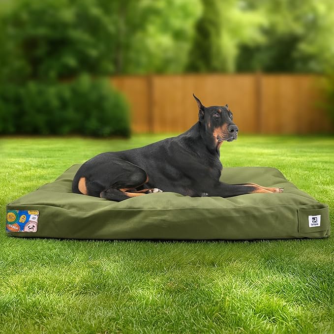 Sytopia 42-Inch Canvas Outdoor Dog Bed, Washable & Waterproof with Chew-Resistant Removable Cover, Ideal for Extra Large Dogs for Indoor, Outdoor, Crate, or Patio Use (Green)