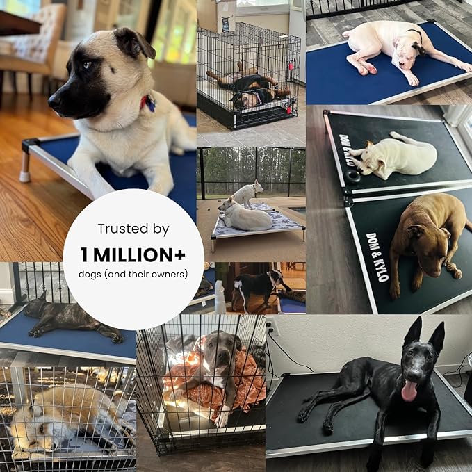 K9 Ballistics Chew Proof Elevated Outdoor Cooling Cot Bed for X Large Dogs - Virtually Indestructible, Preassembled, Withstands Aggressive Chewers - XL, Blue Quartz Ripstop